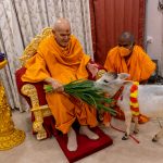 When Compassion Silences Pain: A Memorable Moment with Mahant Swami Maharaj
